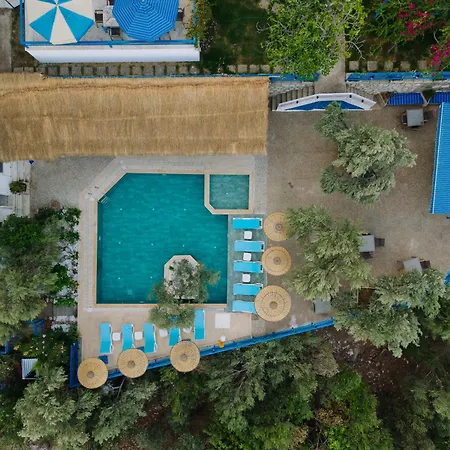 Karma Homes מלון טורונץ'